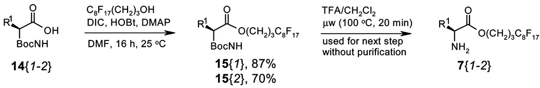 Scheme 5