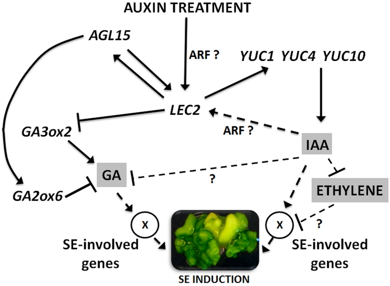 Fig. 8