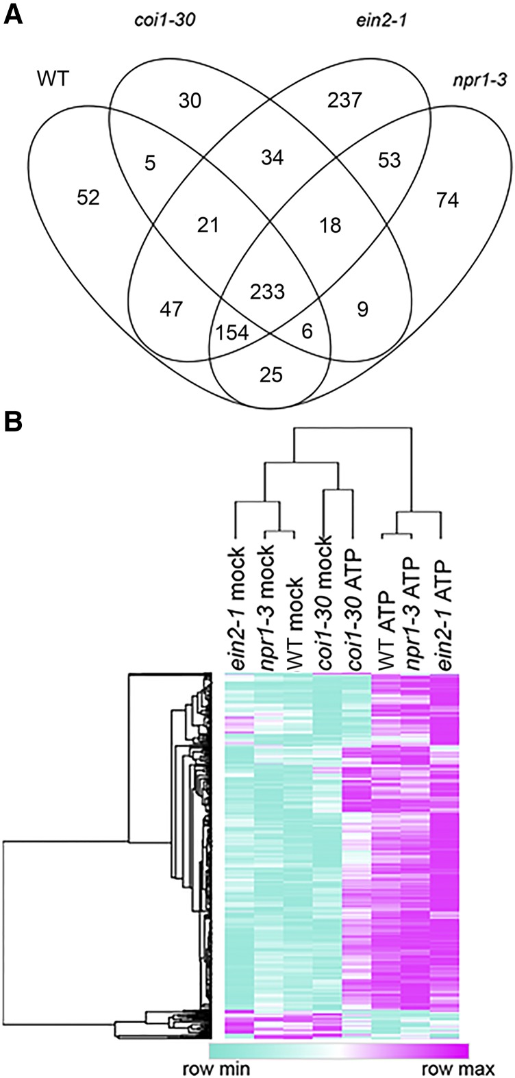 Figure 4.