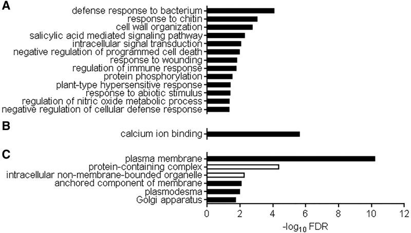 Figure 7.