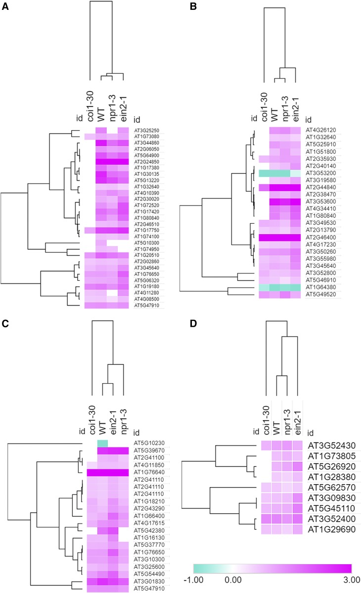 Figure 5.