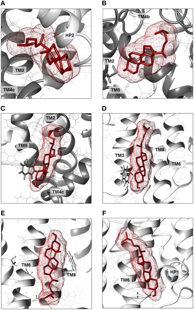 Figure 6