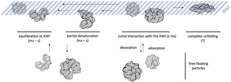 Figure 7