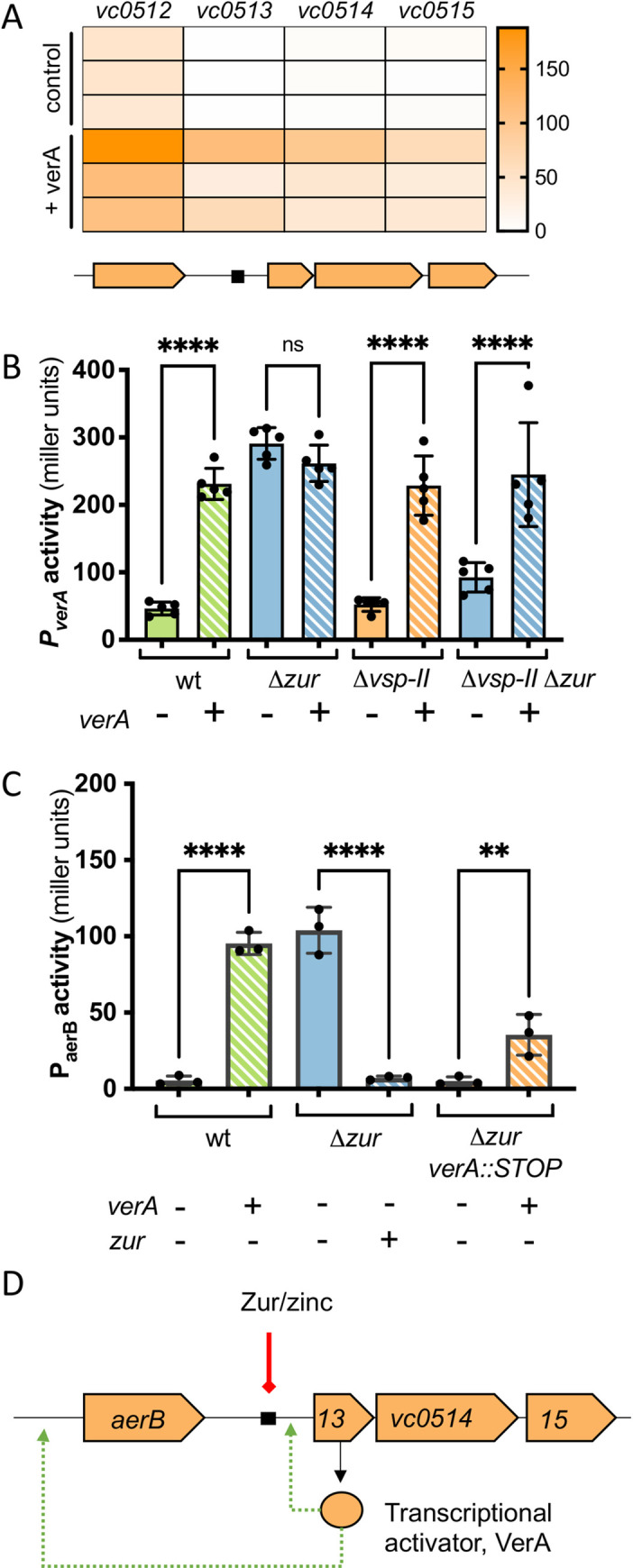 Fig 4