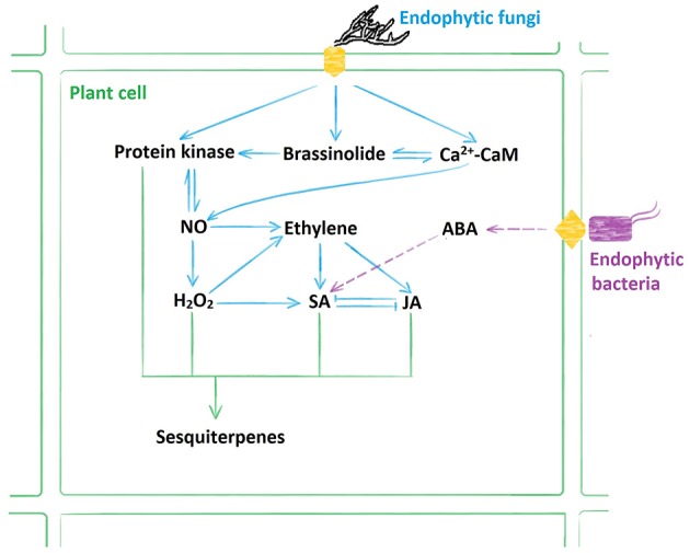 Figure 7