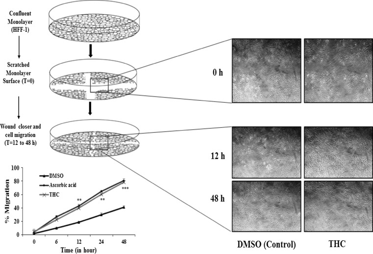 Fig. 6