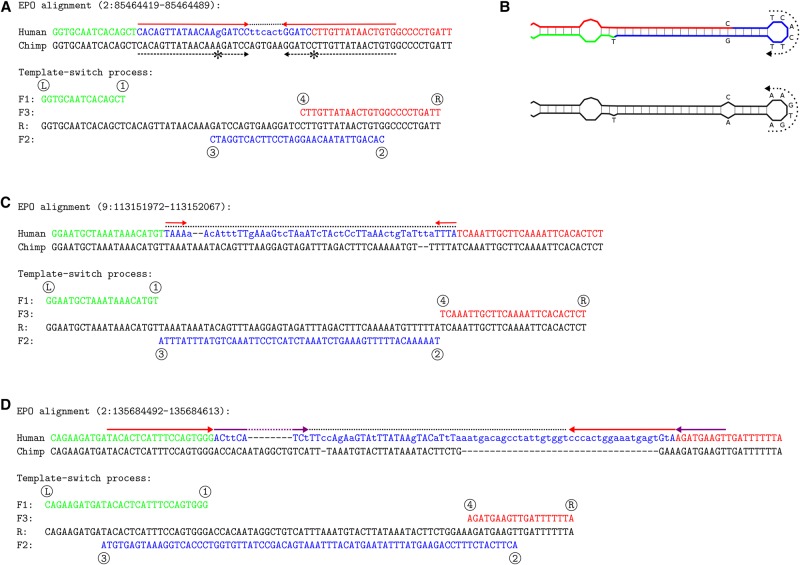 Figure 2.