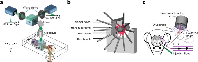 Fig. 2