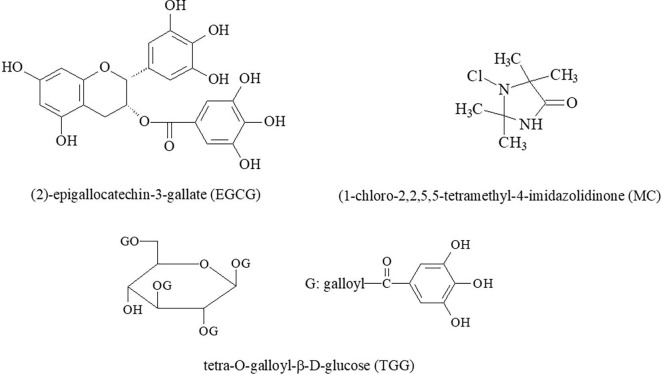 Fig. 10