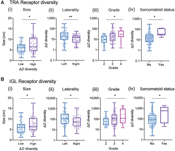 Figure 2. Patients with tumors that are larger in diameter, higher grade, left laterality, and sarcomatoid status have increased diversity in TRA and IGL receptors. A, TRA receptor CDR3 sequence ΔD diversity across the Moffitt TCC cohort have increased diversity in (i) larger diameter tumors (low diversity had mean diameter of 6.1 cm and high diversity had a mean diameter for 7.6 cm; P: 0.0287), (ii) left laterality tumors (score of 37.55 vs. 16.39; P: 0.0097), (iii) with higher grade tumors (mean score from grade 2 was 12.96, mean score from grade 3 was 33.09, and mean score from grade 4 was 42.62; P: 0.0227), and (v) in patients with sarcomatoid status [sarcomatoid status evaluated as yes (at least 5%) or no, in TRA no had a mean ΔD diversity score of 26.47 vs. yes with a mean score of 61.32; P 0.0430]. B, IGL receptor CDR3 sequence ΔD diversity showed the same trends as TRA receptor CDR3 sequence diversity for (i) size (low diversity had mean diameter of 6.1 cm and high diversity had a mean diameter of 7.6 cm: P: 0.0195), (ii) laterality (score of 331.1 vs. 141.3; P: 0.0445), (iii) grade (mean score from grade 2 was 93.99, mean score from grade 3 was 281.4, and mean score from grade 4 was 465.5; P: 0.0459), and (iv) sarcomatoid status (no had a mean score of 223.9 vs. yes with a mean score of 704.4; P: 0.0152). Unpaired t tests were used to compare two group data and ANOVA was used to compare grade, three group data. *, P < 0.05; **, P < 0.01.