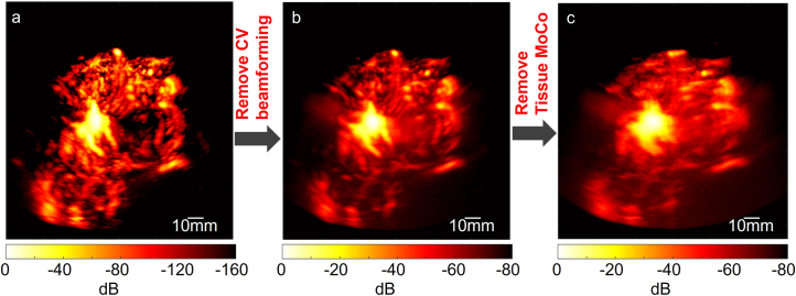 Extended Data Fig. 2