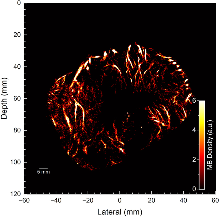 Extended Data Fig. 3