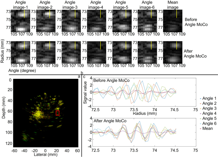 Extended Data Fig. 1