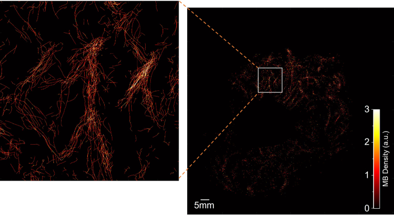 Extended Data Fig. 8