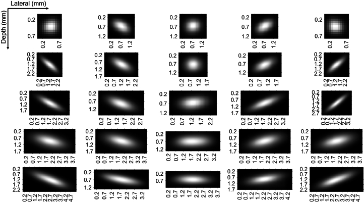 Extended Data Fig. 6