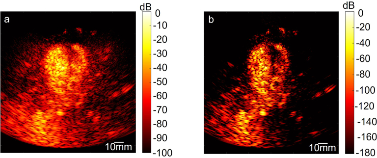 Extended Data Fig. 5