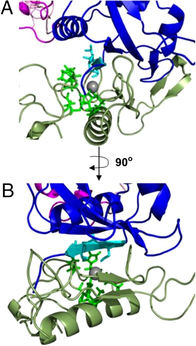 Fig. 5.