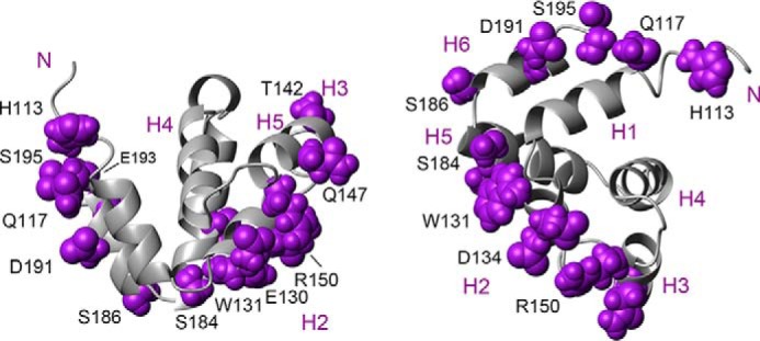 Figure 11.