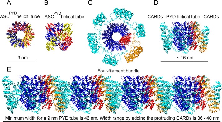 Figure 4.