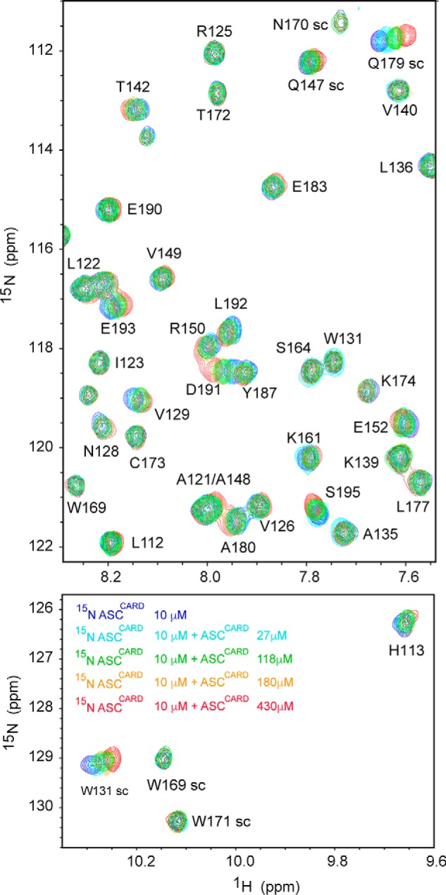 Figure 10.