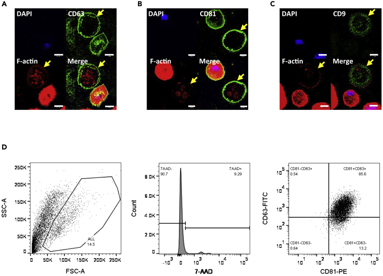 Figure 3