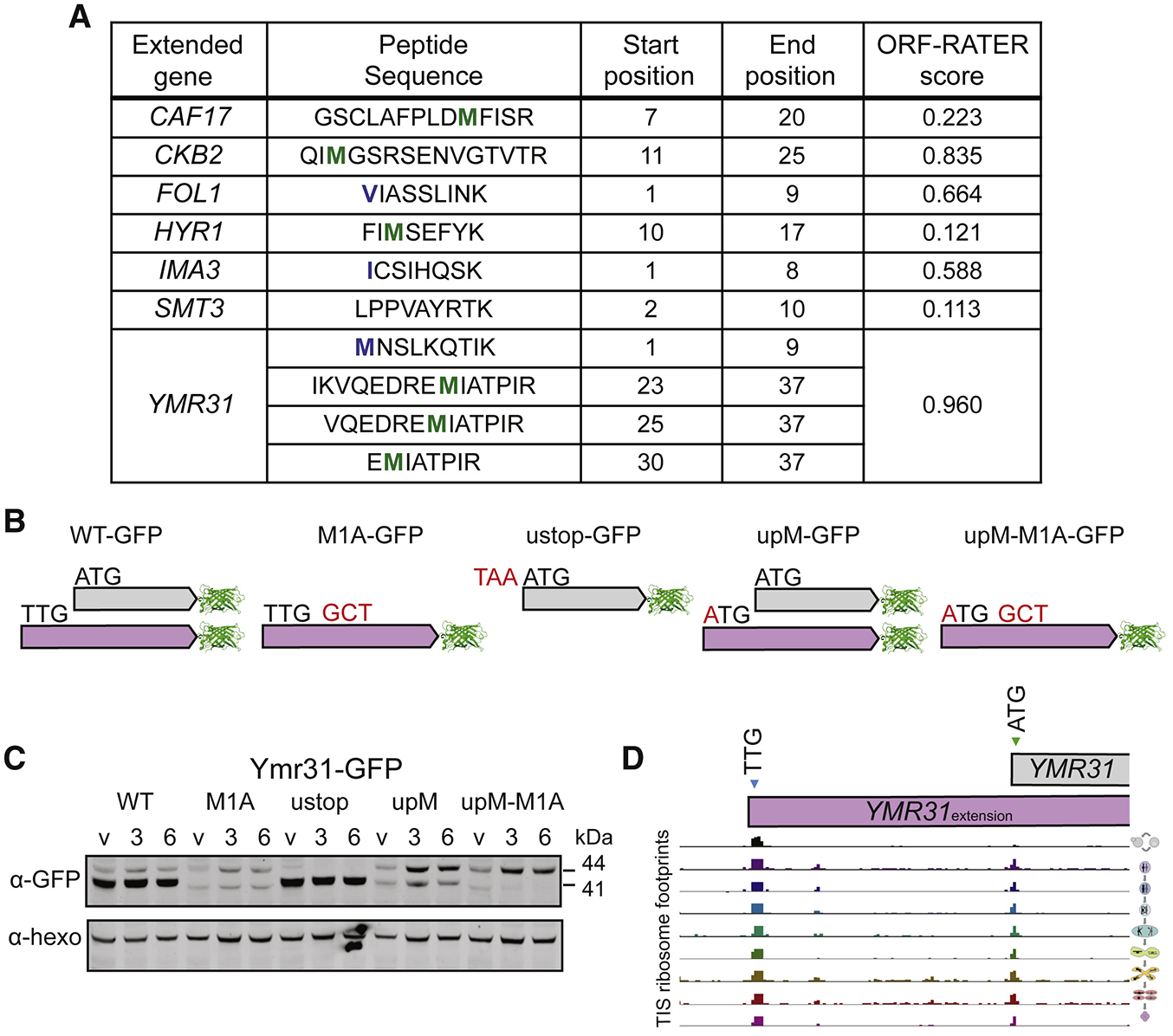 Figure 4: