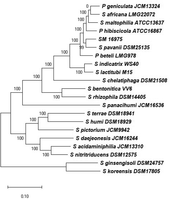 Fig. 2