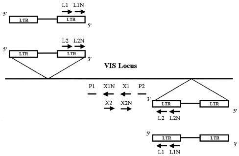 FIG. 1.