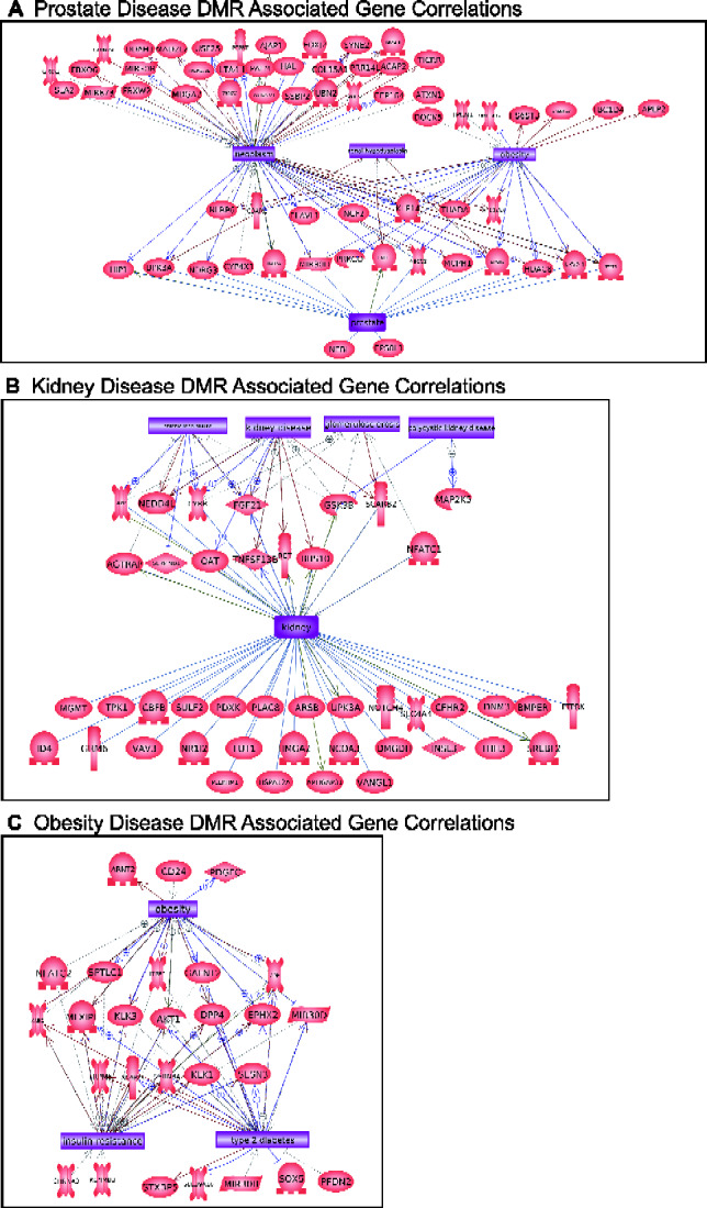 Figure 7: