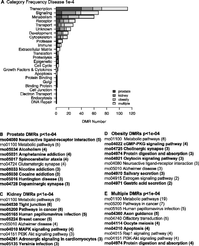 Figure 6: