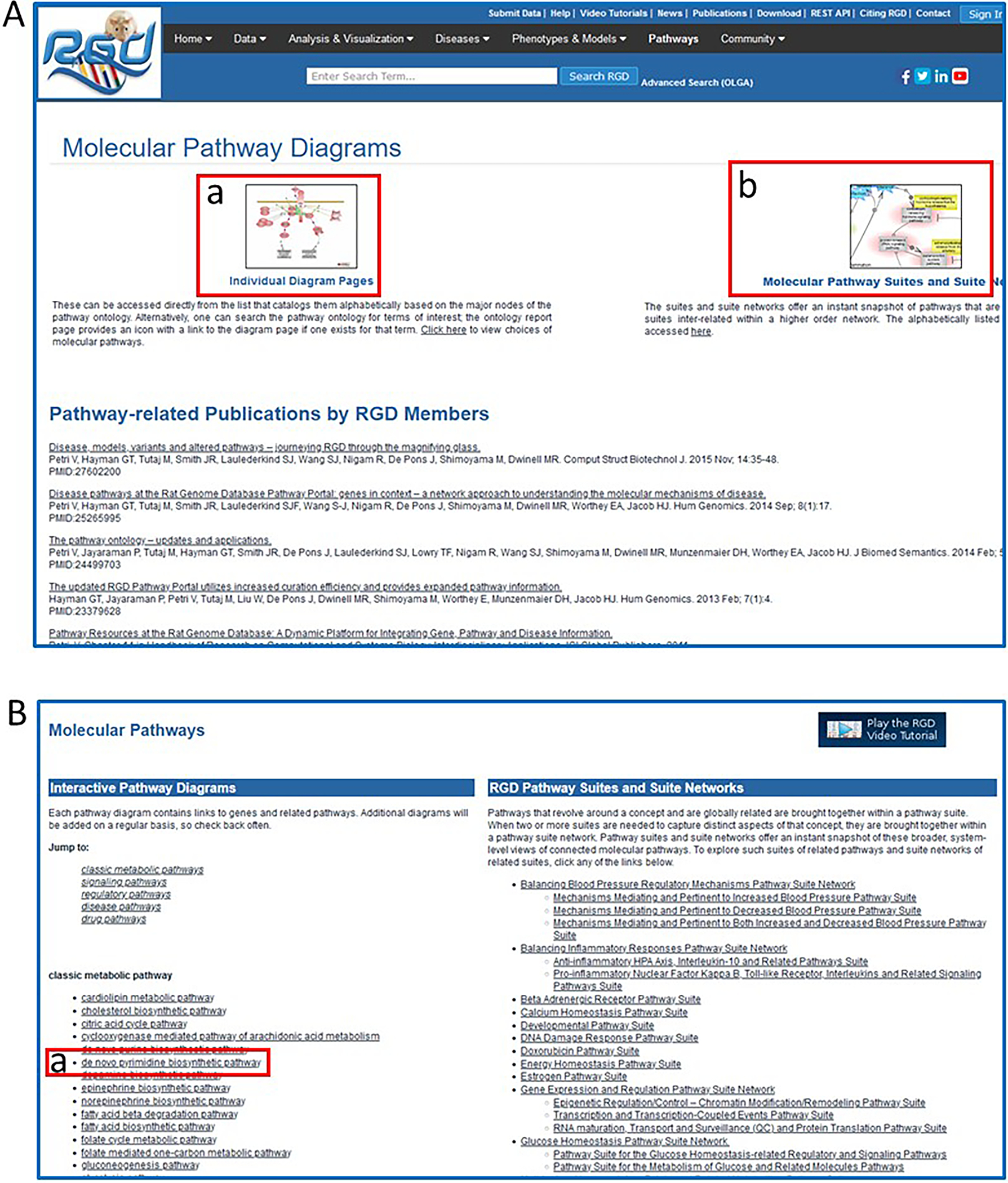 Figure 41