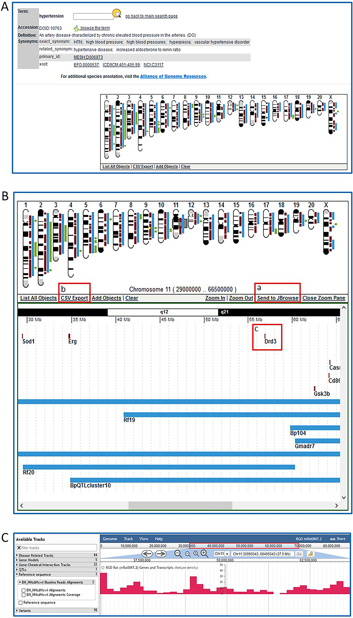 Figure 10