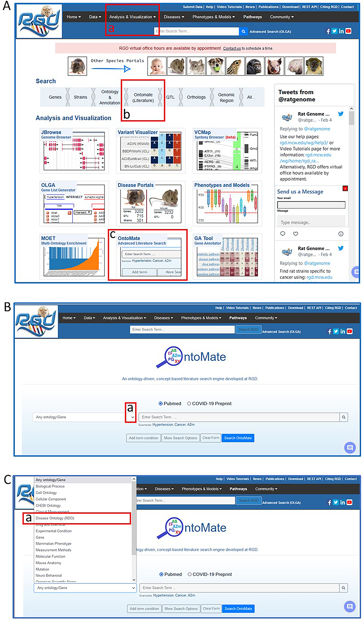 Figure 20