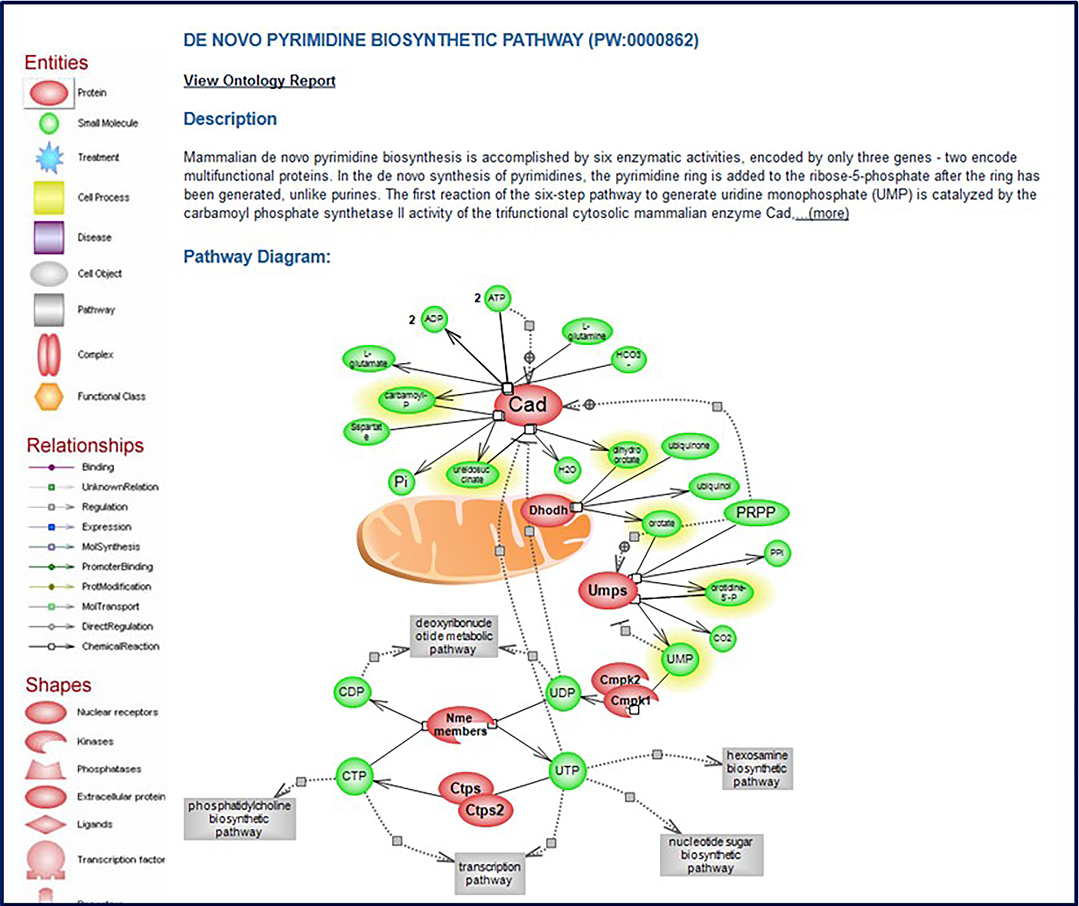 Figure 42