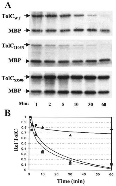 FIG. 5.