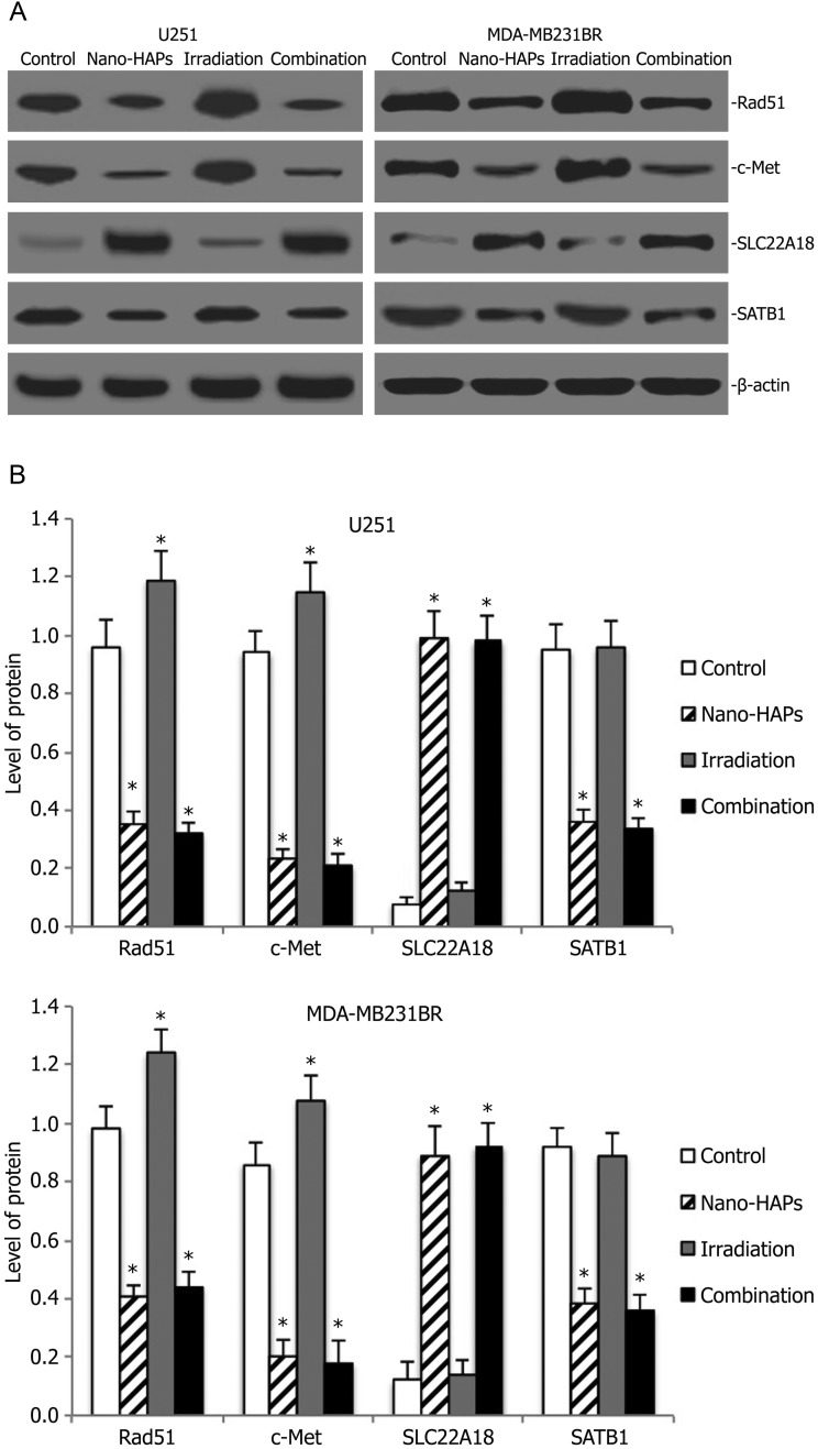 Fig. 6.