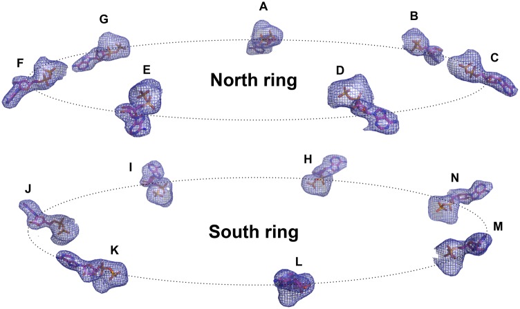 Fig. 5.