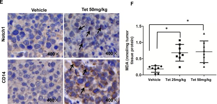 Fig.1