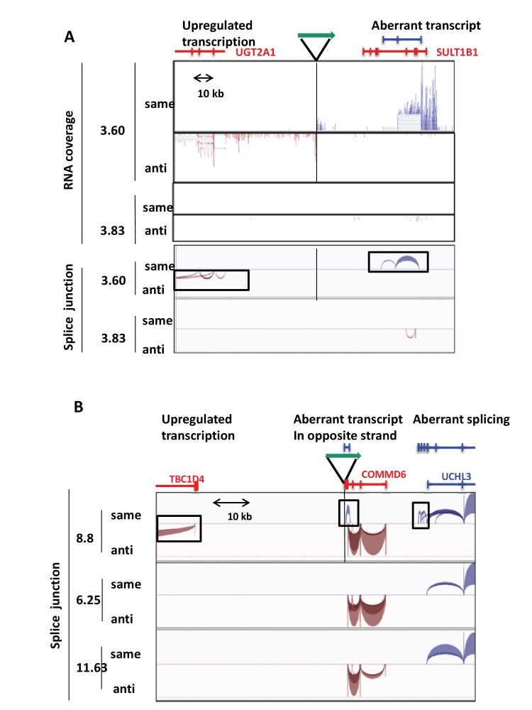 Figure 4—figure supplement 2.