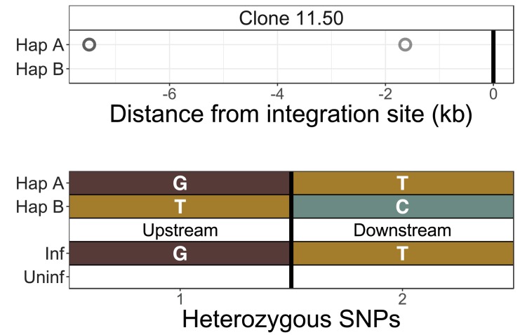 Figure 2—figure supplement 1.