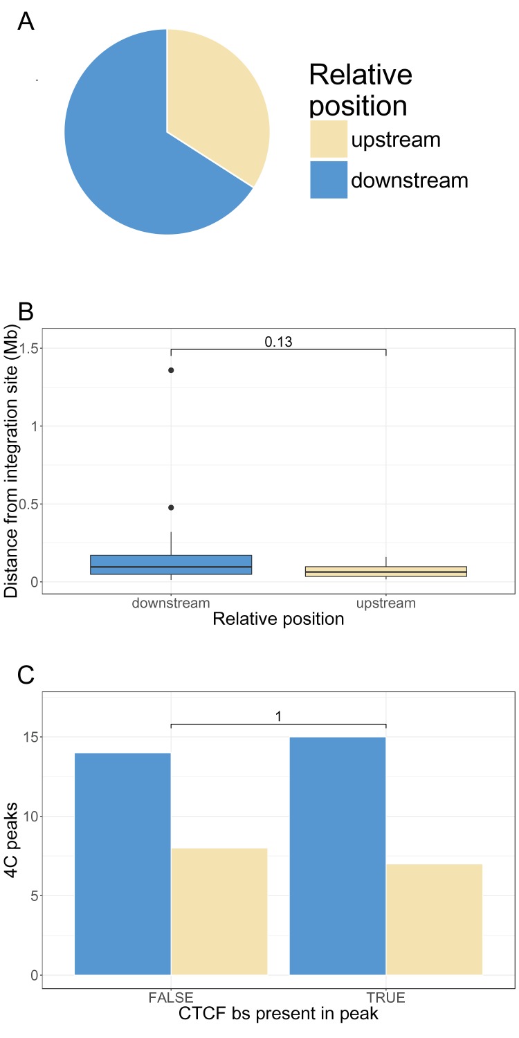 Figure 1—figure supplement 11.