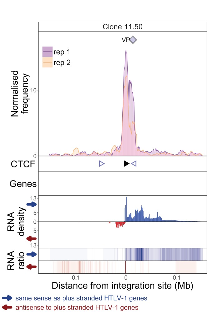 Figure 1—figure supplement 6.