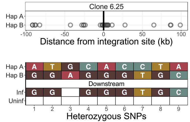 Figure 2—figure supplement 3.