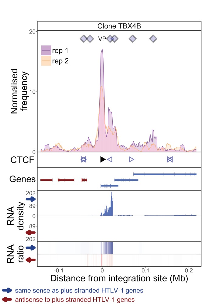 Figure 1—figure supplement 8.