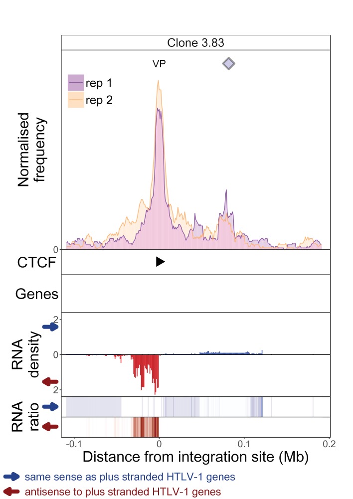 Figure 1—figure supplement 4.