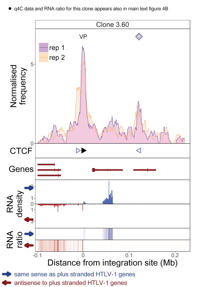 Figure 1—figure supplement 10.