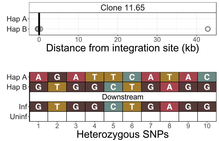 Figure 2—figure supplement 2.