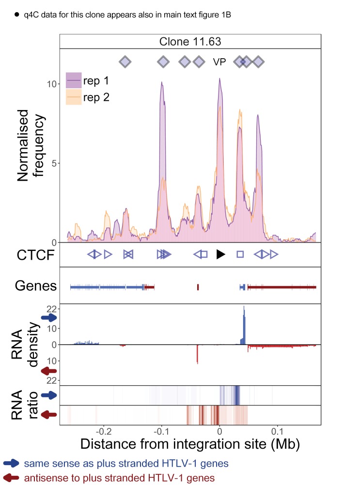 Figure 1—figure supplement 7.