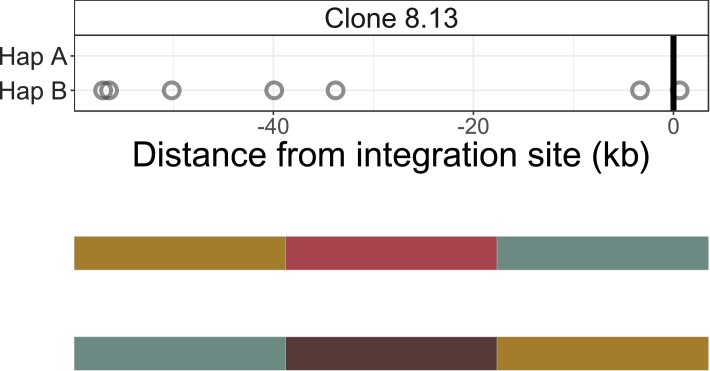 Figure 2—figure supplement 4.