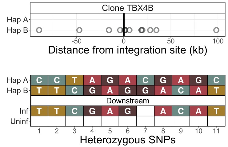 Figure 2—figure supplement 5.